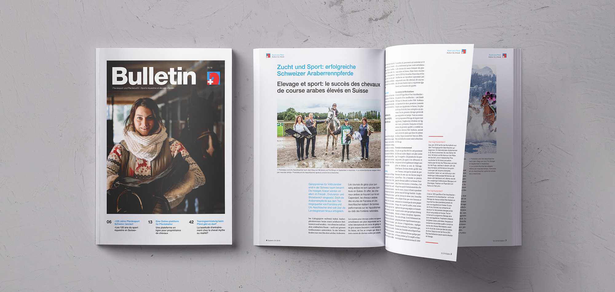 Bulletin – Pferdesport